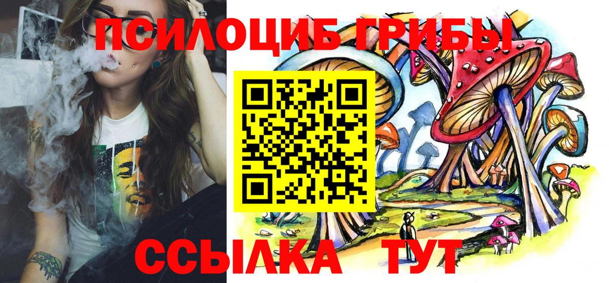 Псилоцибиновые грибы Magic Shrooms Россия