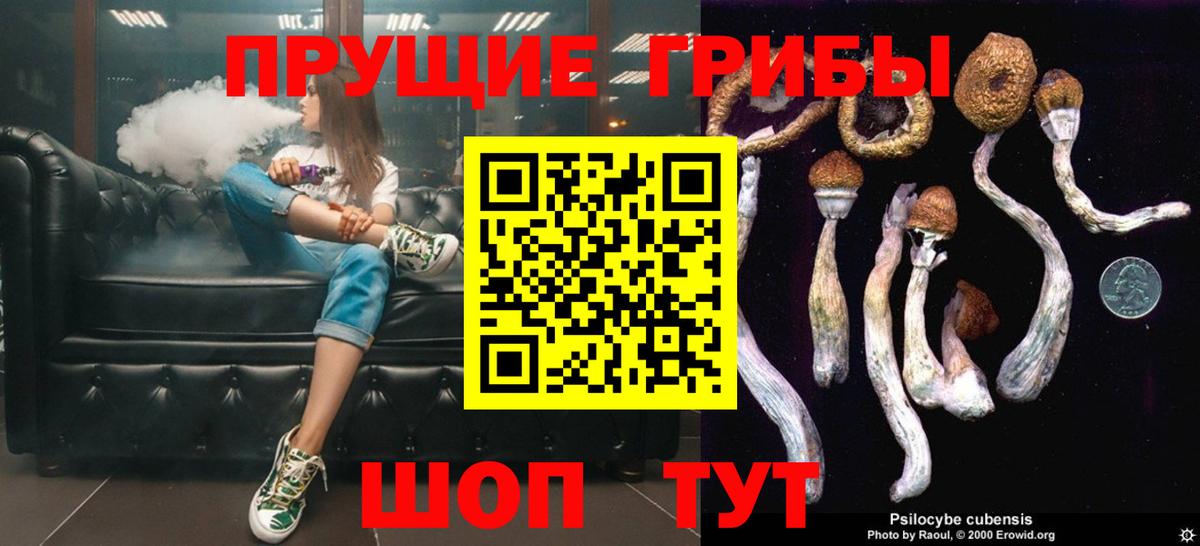 Галлюциногенные грибы Cubensis  Вход с VPN  Россия  Псилоцибиновые грибы мицелий 