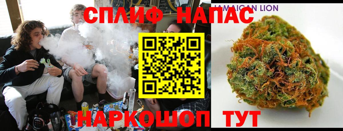 Конопля план Россия